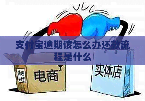信用卡逾期该怎么办还款流程是什么