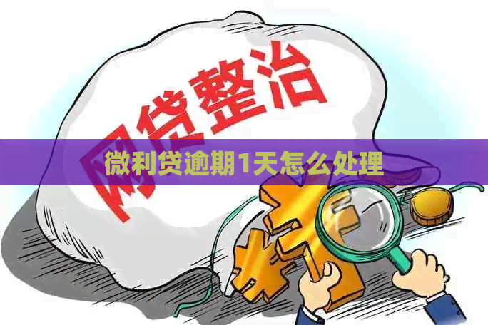 微利贷逾期1天怎么处理
