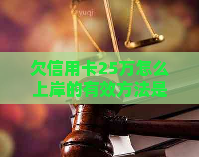 欠信用卡25万怎么上岸的有效方法是什么