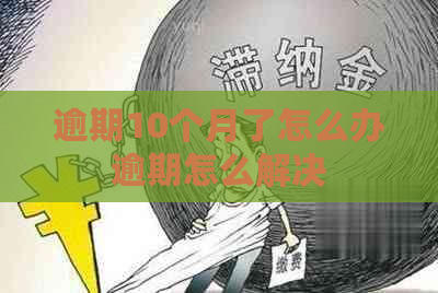 逾期10个月了怎么办逾期怎么解决