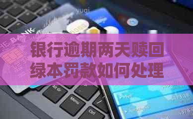 银行逾期两天赎回绿本罚款如何处理