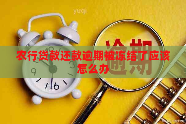 农行贷款还款逾期被冻结了应该怎么办