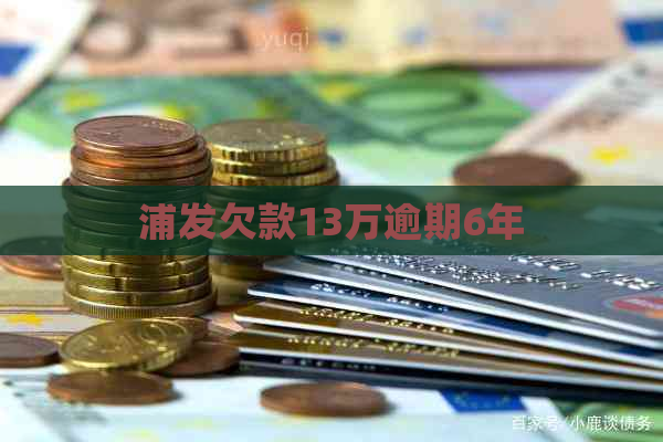 浦发欠款13万逾期6年