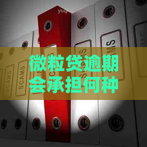 微粒贷逾期会承担何种经济风险