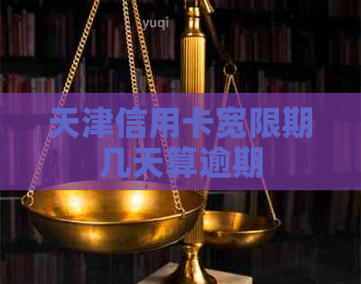 天津信用卡宽限期几天算逾期