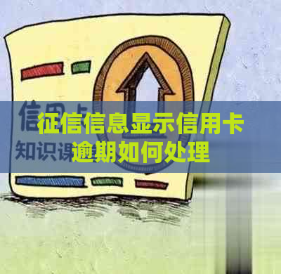 信息显示信用卡逾期如何处理