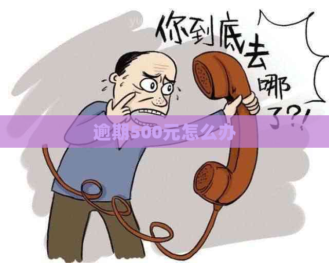 逾期500元怎么办