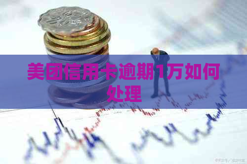 美团信用卡逾期1万如何处理