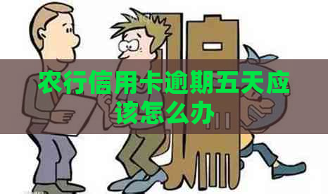 农行信用卡逾期五天应该怎么办