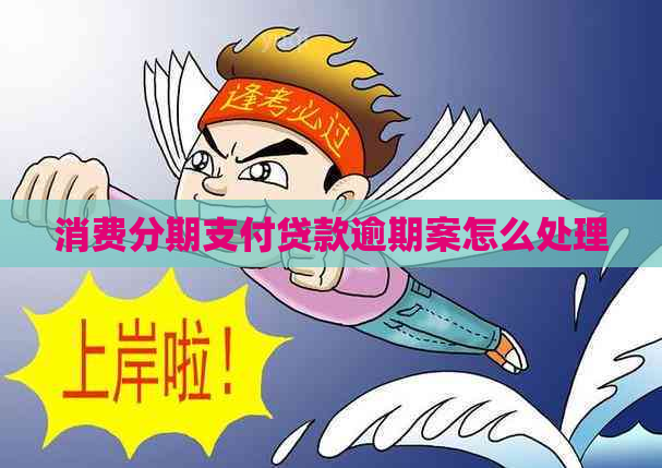 消费分期支付贷款逾期案怎么处理