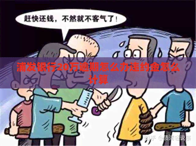 浦发银行20万逾期怎么办违约金怎么计算