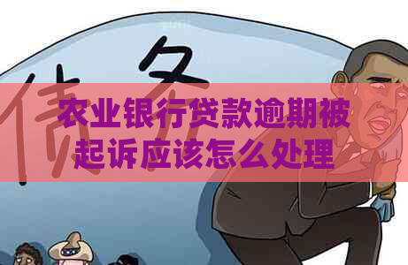 农业银行贷款逾期被起诉应该怎么处理