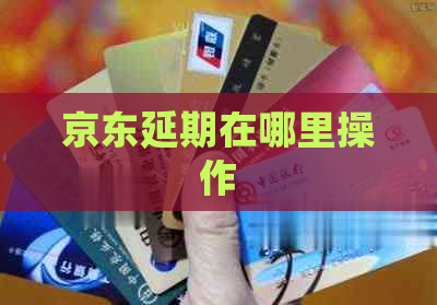 京东延期在哪里操作