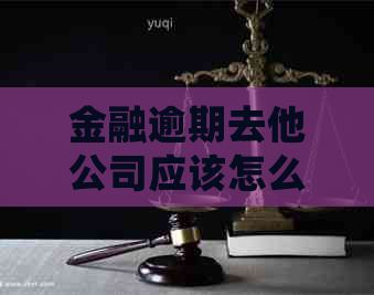金融逾期去他公司应该怎么处理