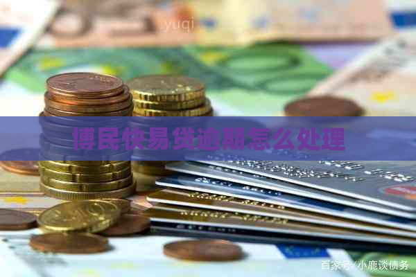 博民快易贷逾期怎么处理