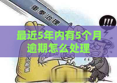 最近5年内有5个月逾期怎么处理