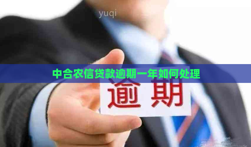 中合农信贷款逾期一年如何处理