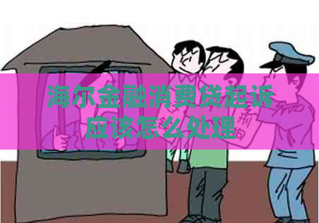 海尔金融消费贷起诉应该怎么处理
