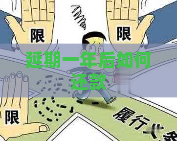 延期一年后如何还款