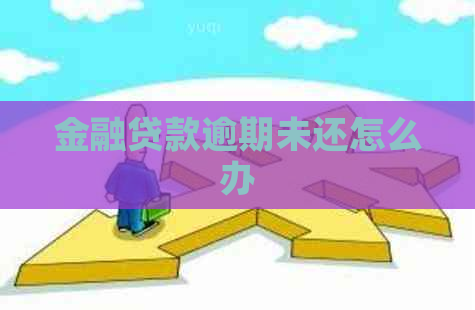 金融贷款逾期未还怎么办