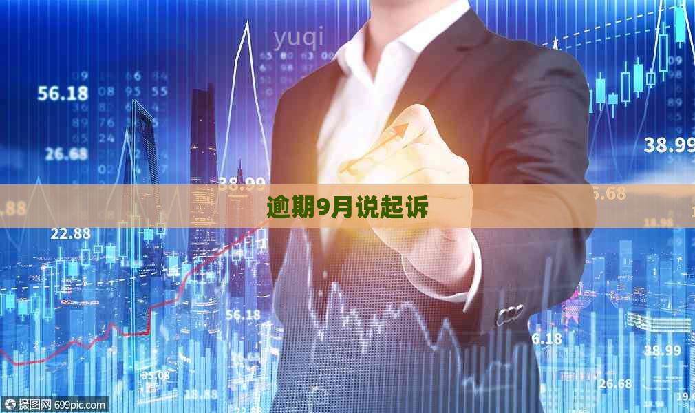 逾期9月说起诉