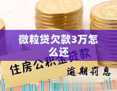 微粒贷欠款3万怎么还
