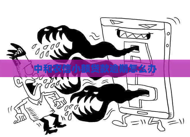 中和农信小额贷款逾期怎么办