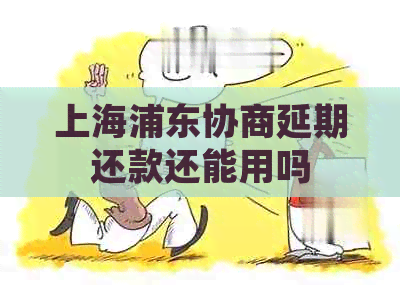 上海浦东协商延期还款还能用吗