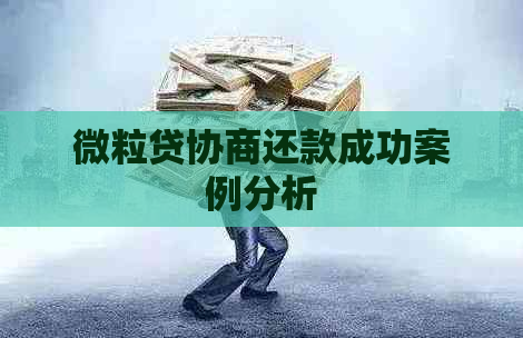 微粒贷协商还款成功案例分析 微粒贷协商还款成功案例分析