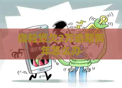 微粒贷欠2万逾期两年怎么办