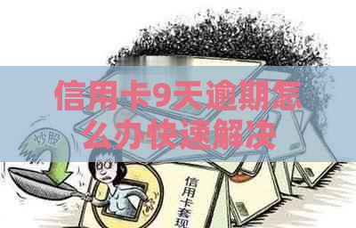 信用卡9天逾期怎么办快速解决