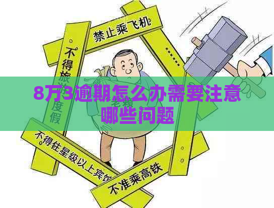 8万3逾期怎么办需要注意哪些问题