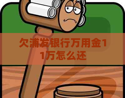欠浦发银行万用金11万怎么还 欠浦发银行万用金11万怎么还