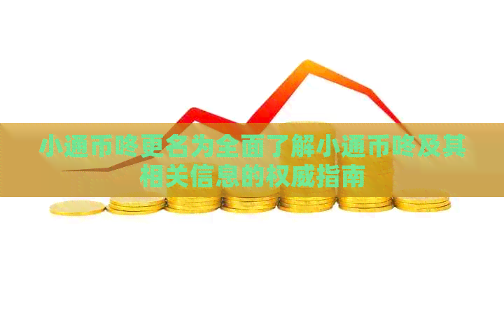 小通币咚更名为全面了解小通币咚及其相关信息的权威指南