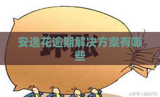 安逸花逾期解决方案有哪些