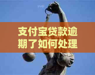 支付宝贷款逾期了如何处理