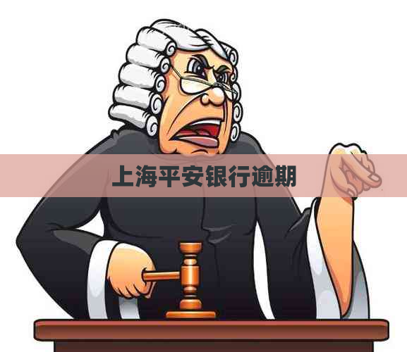 上海平安银行逾期