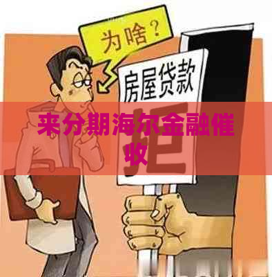 来分期海尔金融
