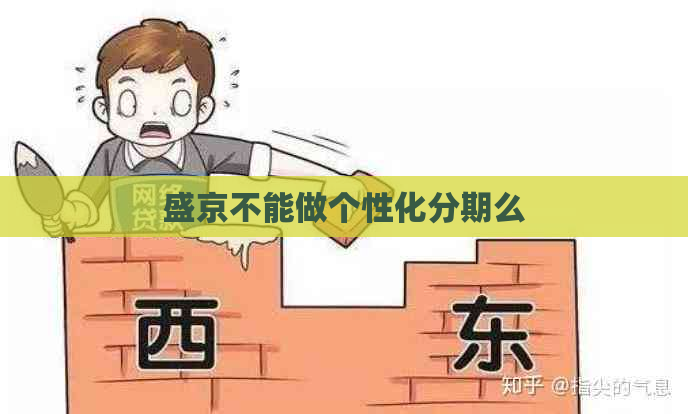 盛京不能做个性化分期么