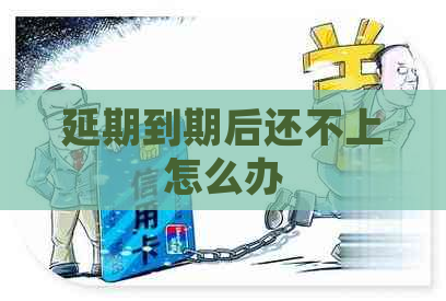 延期到期后还不上怎么办