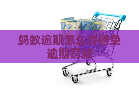 蚂蚁逾期怎么办避免逾期罚款