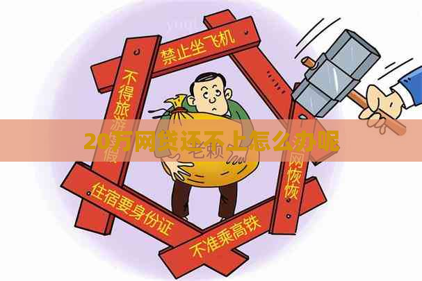 20万网贷还不上怎么办呢
