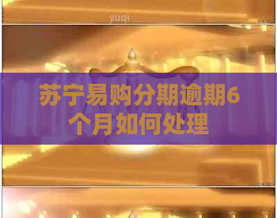 苏宁易购分期逾期6个月如何处理