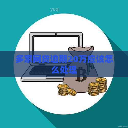 多家网贷逾期20万应该怎么处理