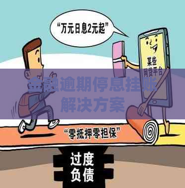 金融逾期停息挂账解决方案
