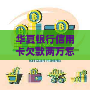 华夏银行信用卡欠款两万怎么办