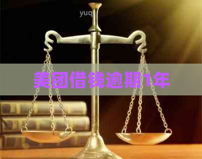 美团借钱逾期1年