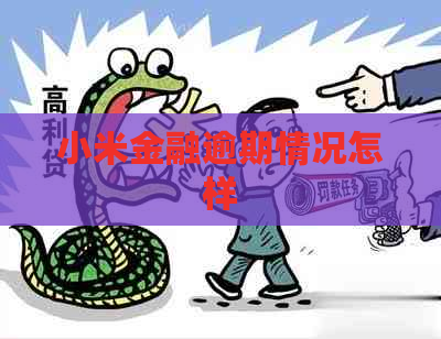 小米金融逾期情况怎样