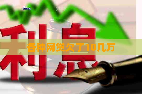 各种网贷欠了10几万