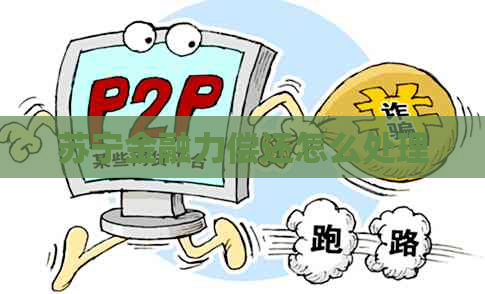 苏宁金融力偿还怎么处理